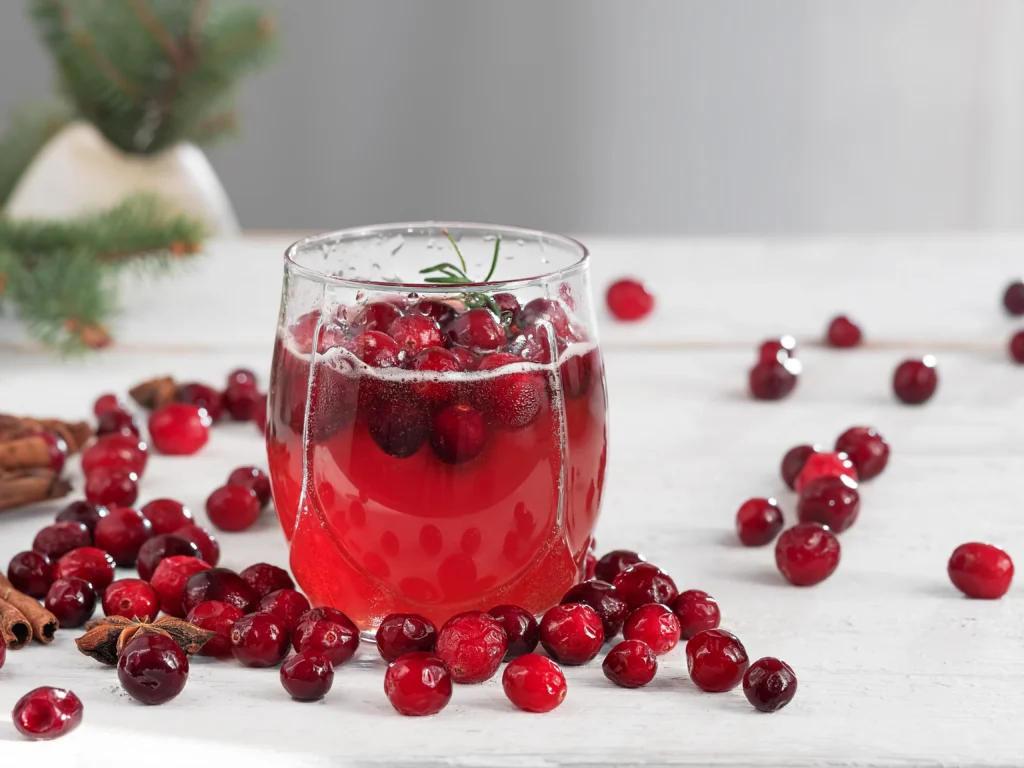 Cranberry-Ginger Splash delicious cocktail recipe